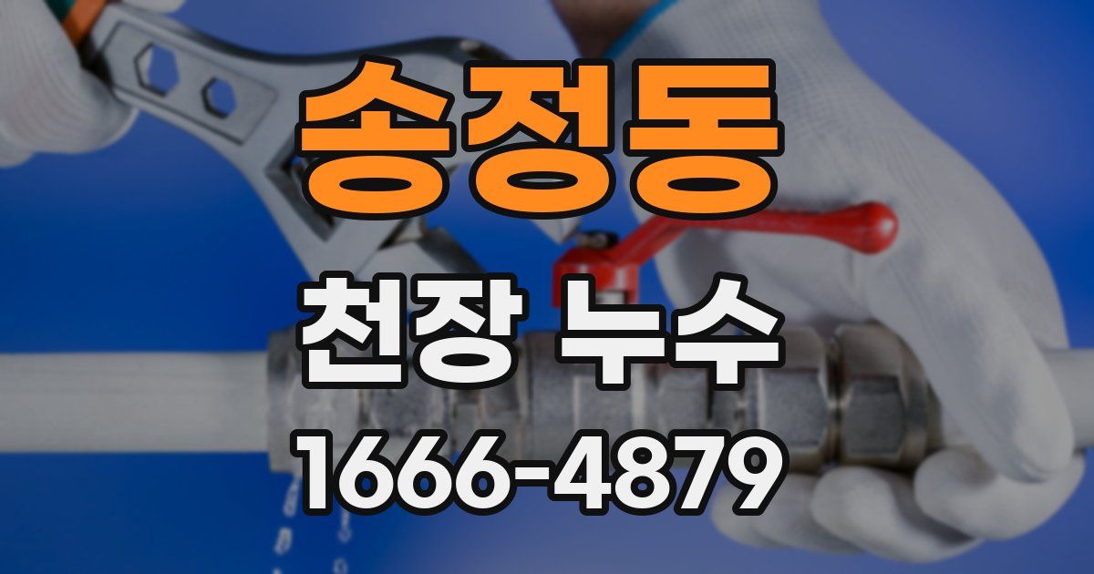 송정동 천장 누수