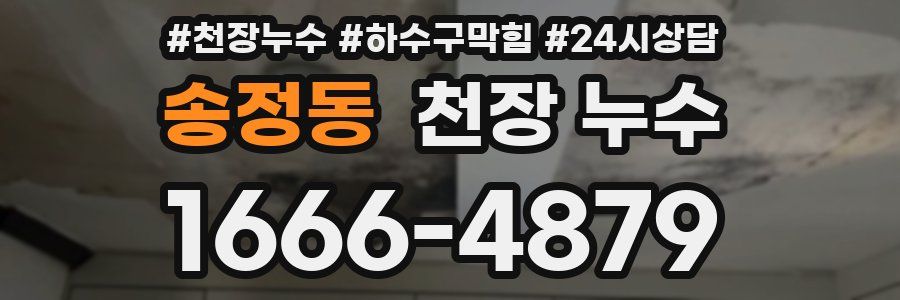 송정동 천장 누수