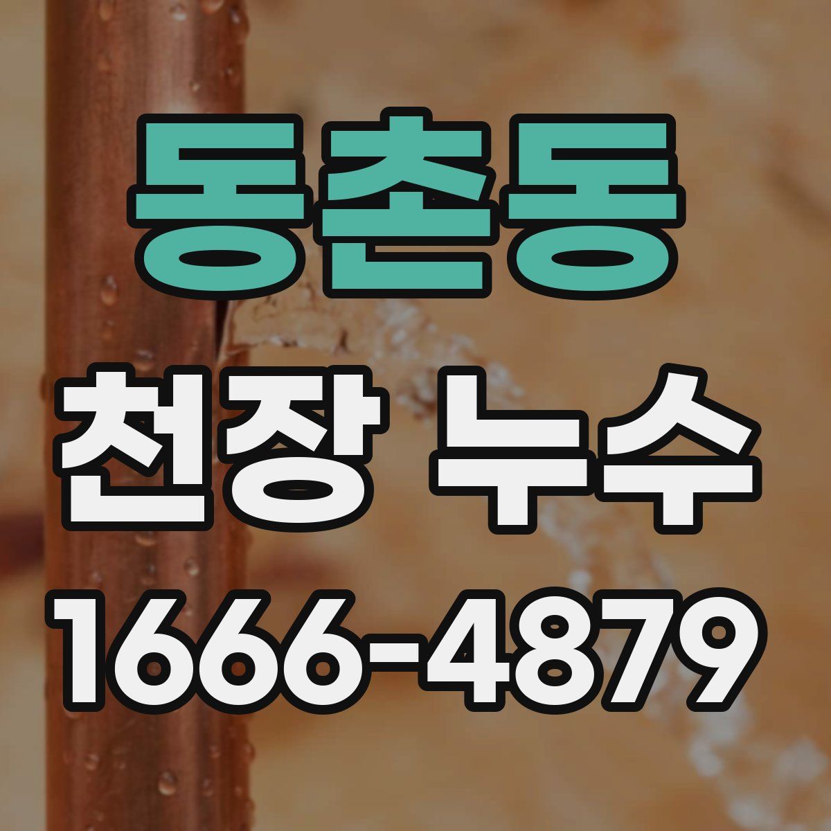 동촌동 천장 누수