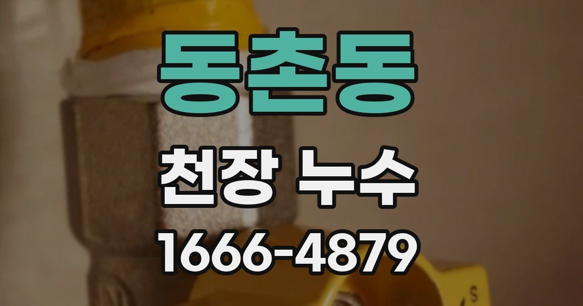 동촌동 천장 누수