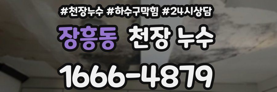 장흥동 천장 누수