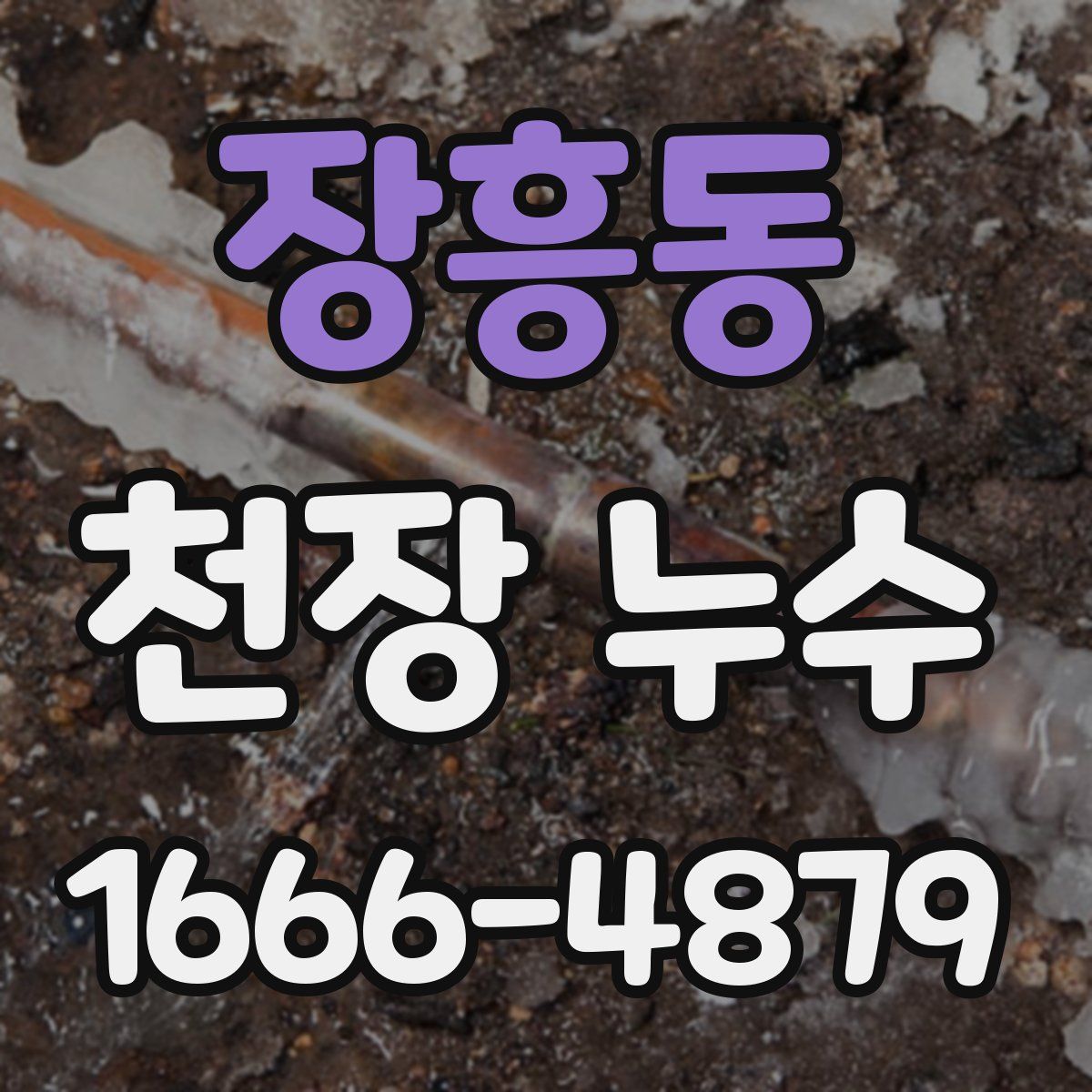 장흥동 천장 누수