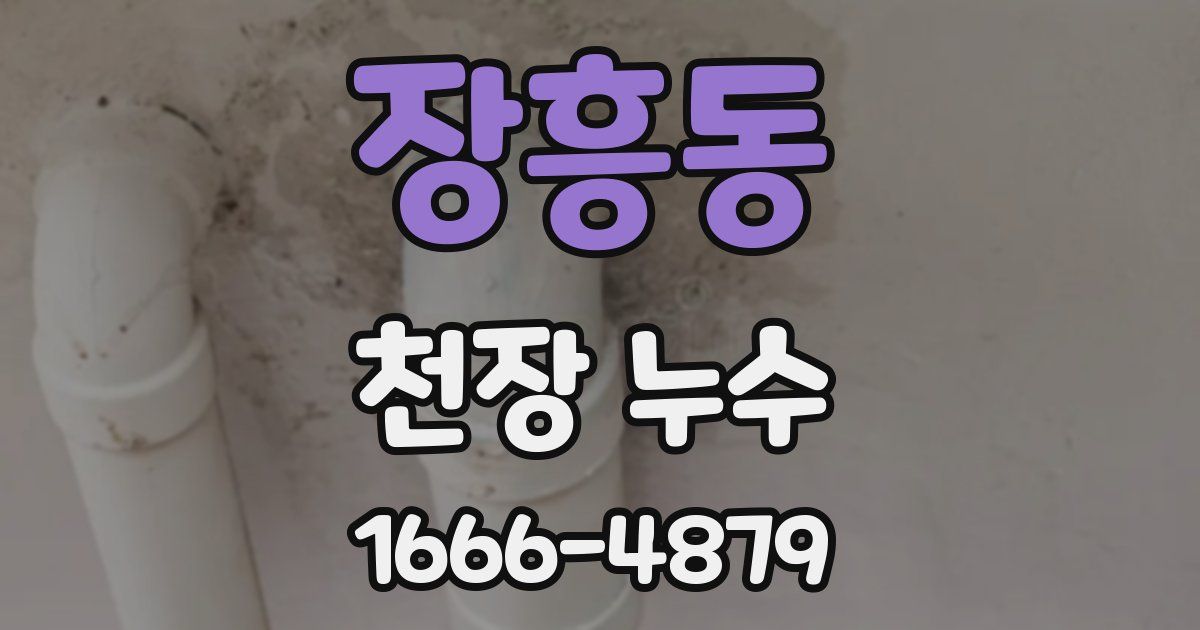 장흥동 천장 누수