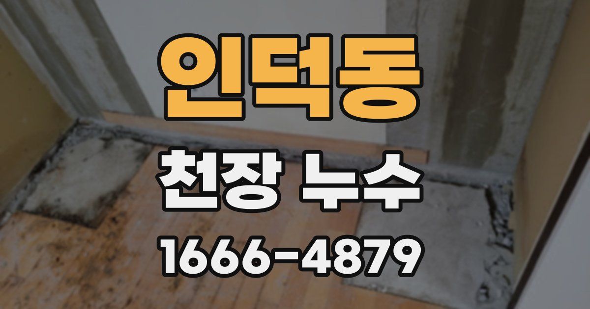 인덕동 천장 누수