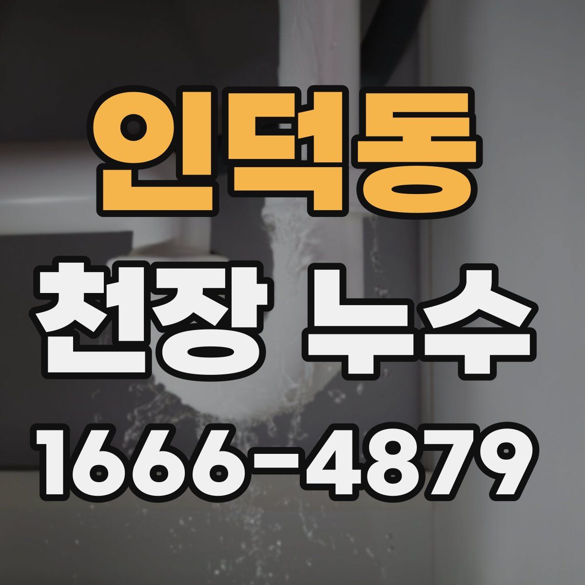 인덕동 천장 누수