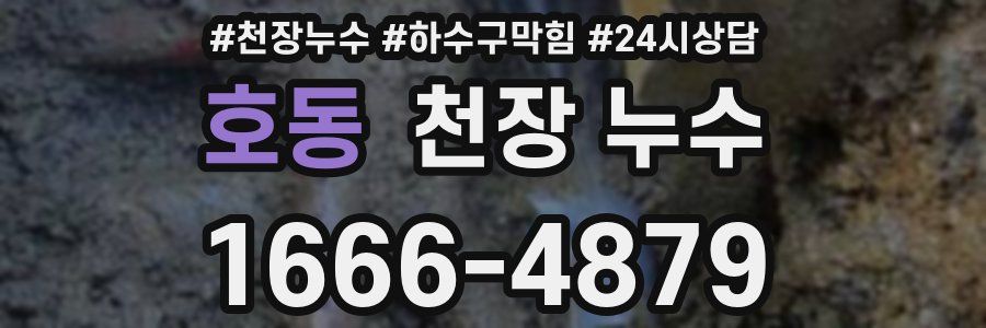 호동 천장 누수