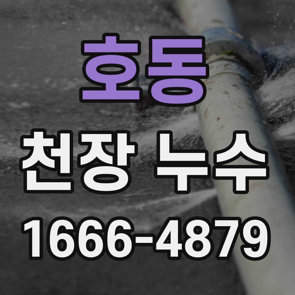 호동 천장 누수