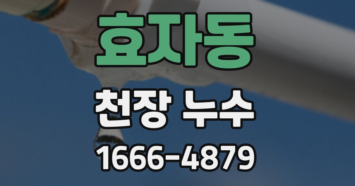 효자동 천장 누수