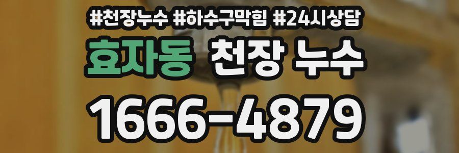 효자동 천장 누수