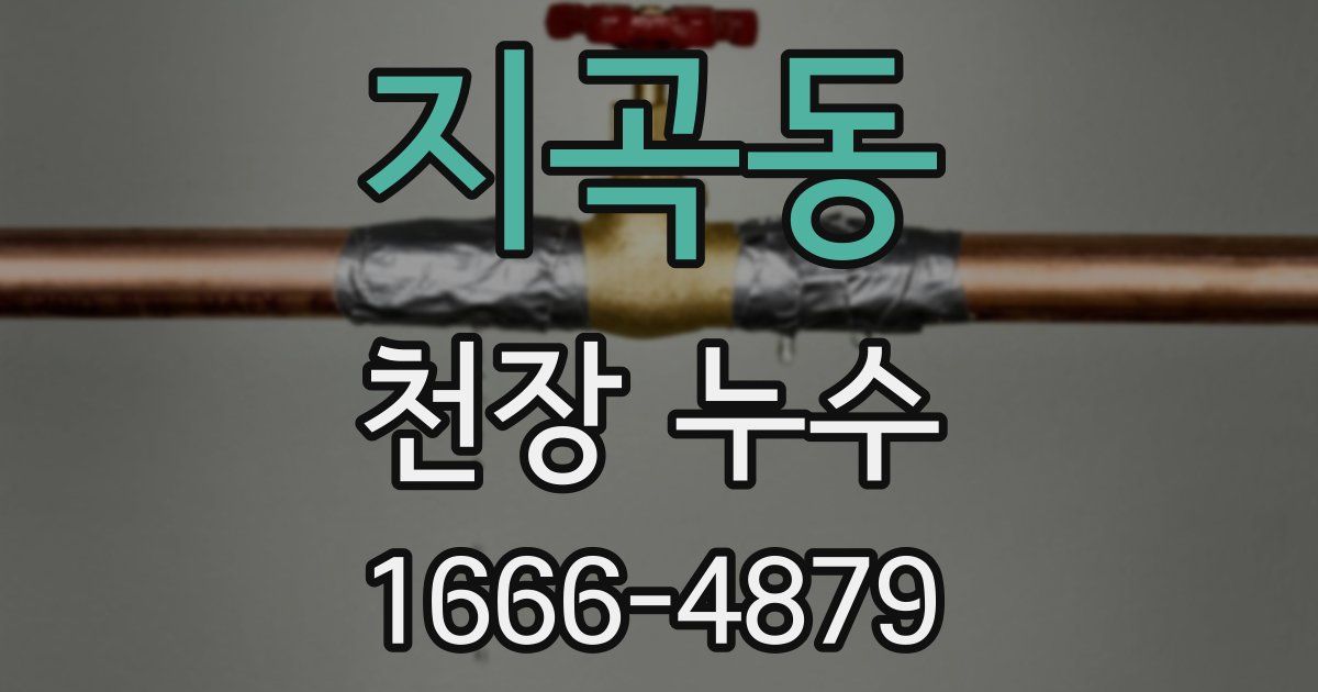 지곡동 천장 누수