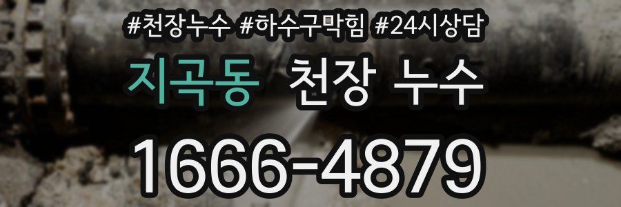 지곡동 천장 누수