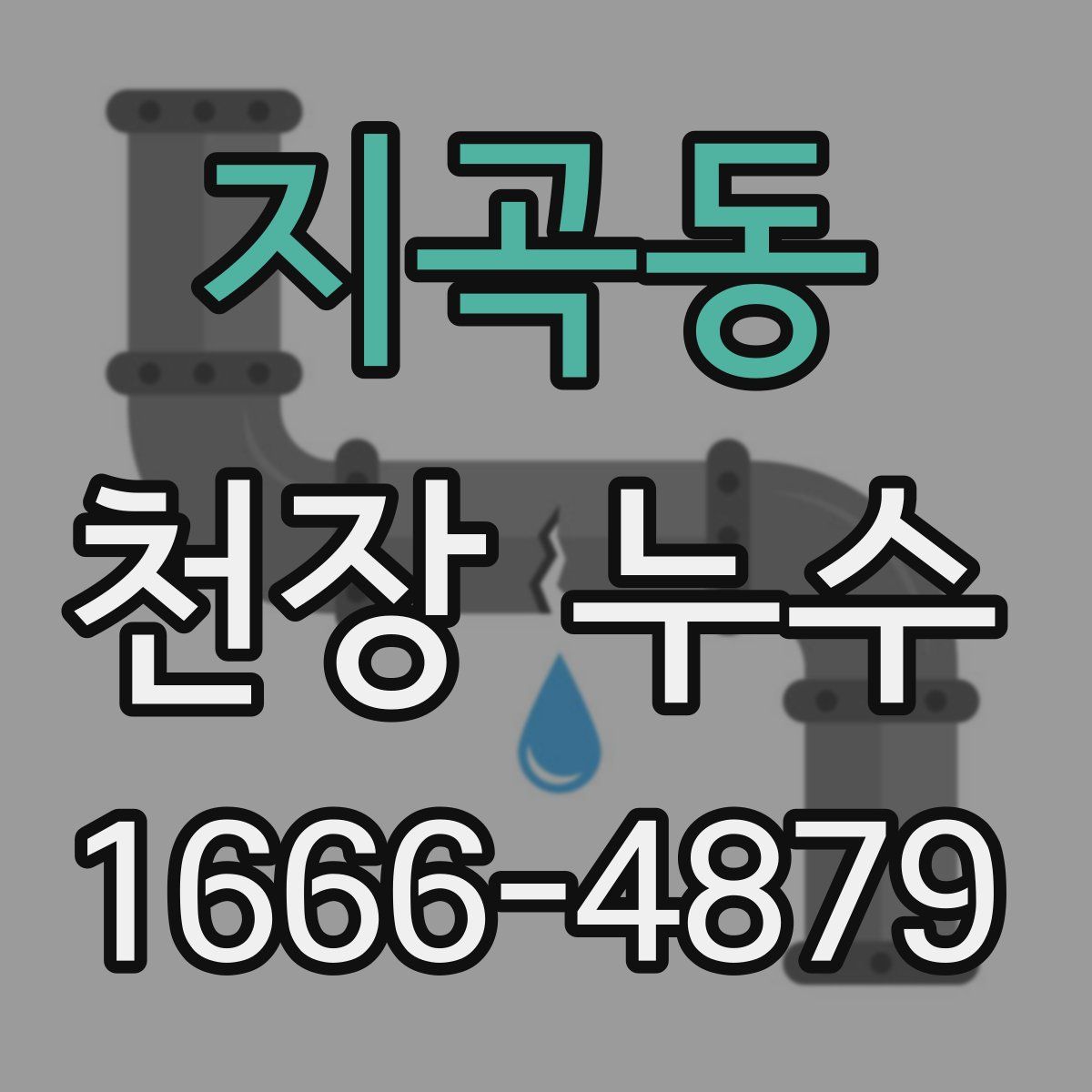 지곡동 천장 누수