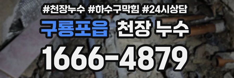 구룡포읍 천장 누수