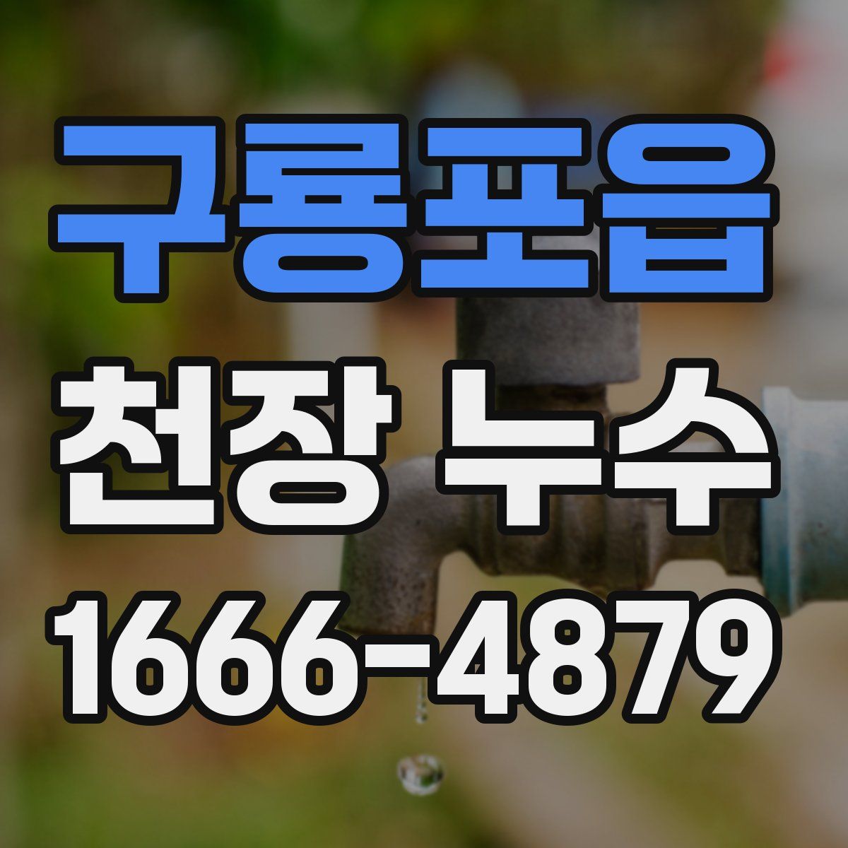 구룡포읍 천장 누수