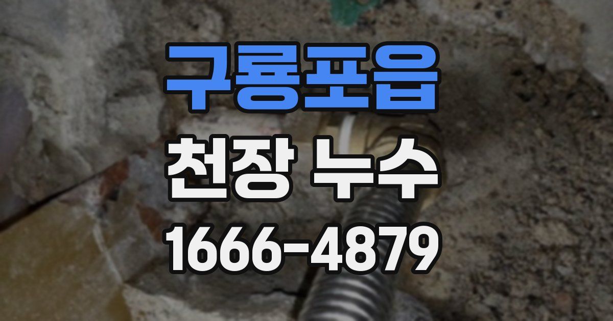 구룡포읍 천장 누수