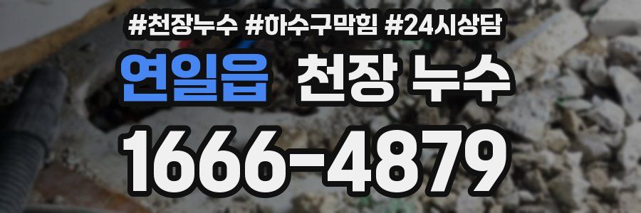 연일읍 천장 누수