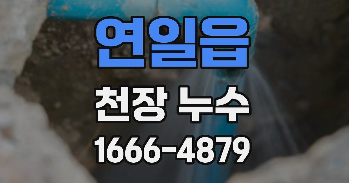 연일읍 천장 누수