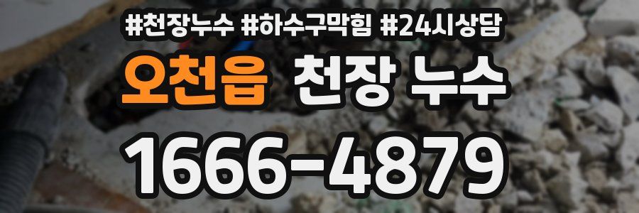 오천읍 천장 누수