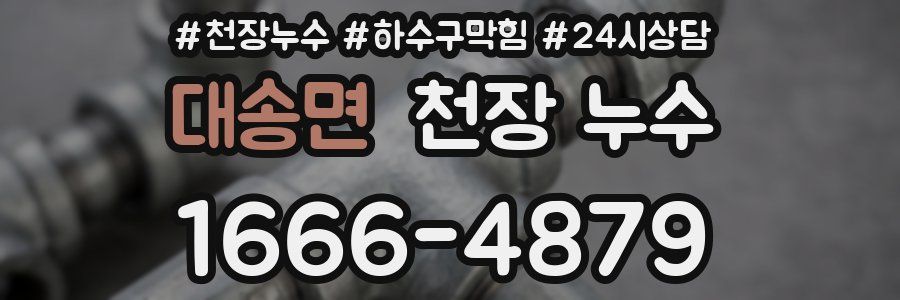 대송면 천장 누수