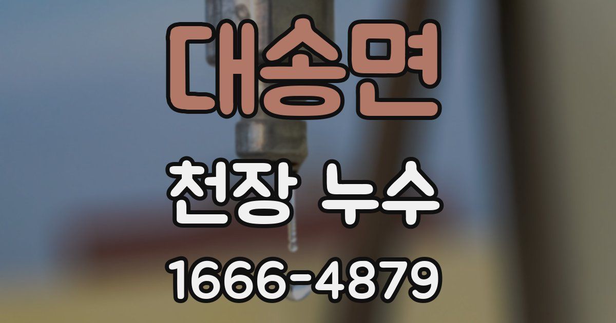 대송면 천장 누수