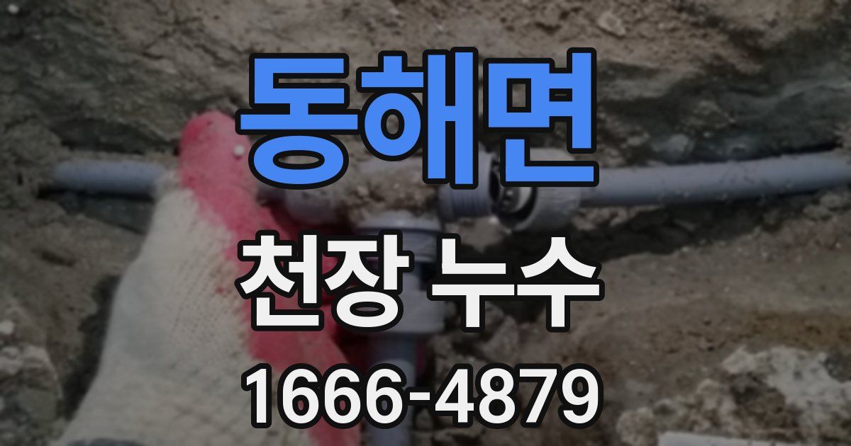 동해면 천장 누수