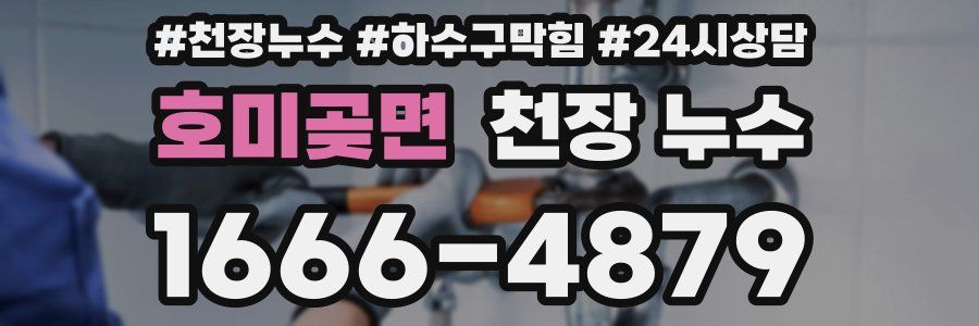 호미곶면 천장 누수