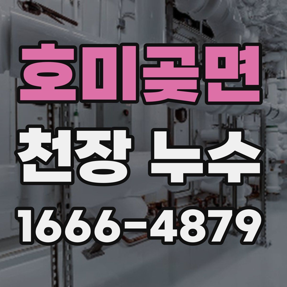 호미곶면 천장 누수