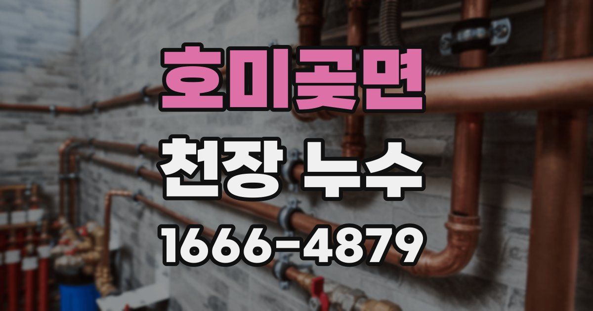 호미곶면 천장 누수