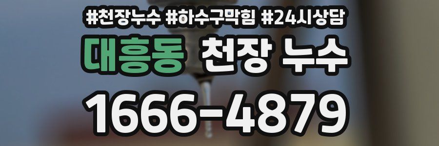 대흥동 천장 누수