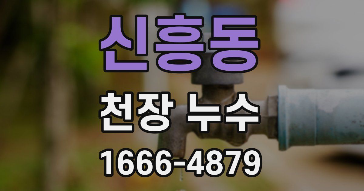 신흥동 천장 누수