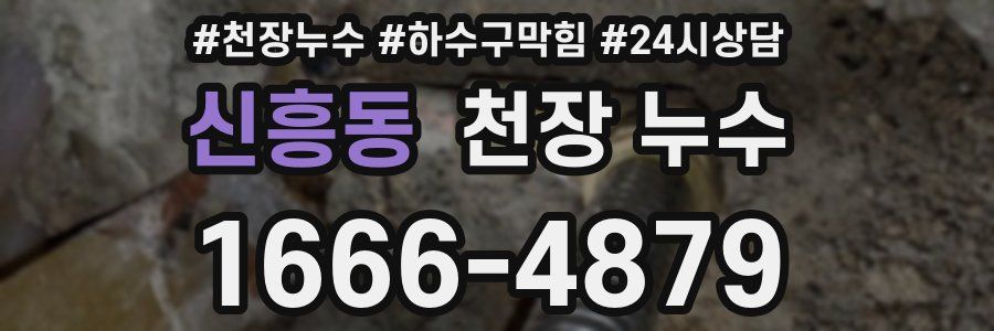 신흥동 천장 누수