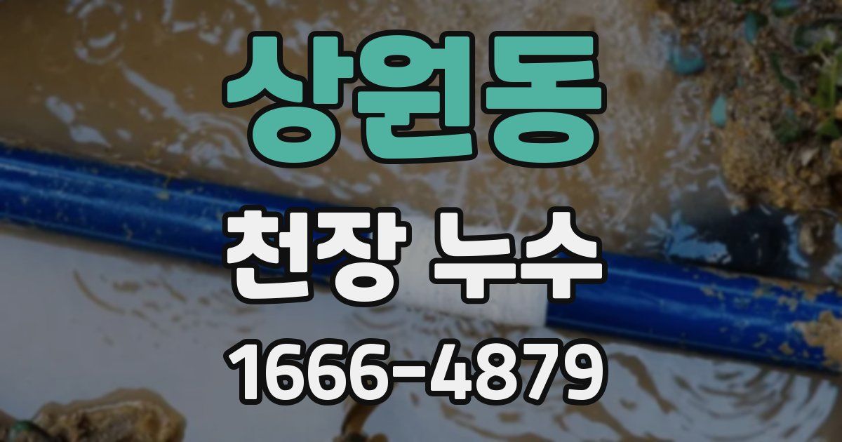 상원동 천장 누수