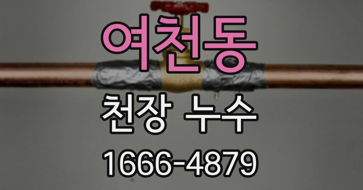 여천동 천장 누수