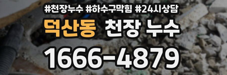 덕산동 천장 누수