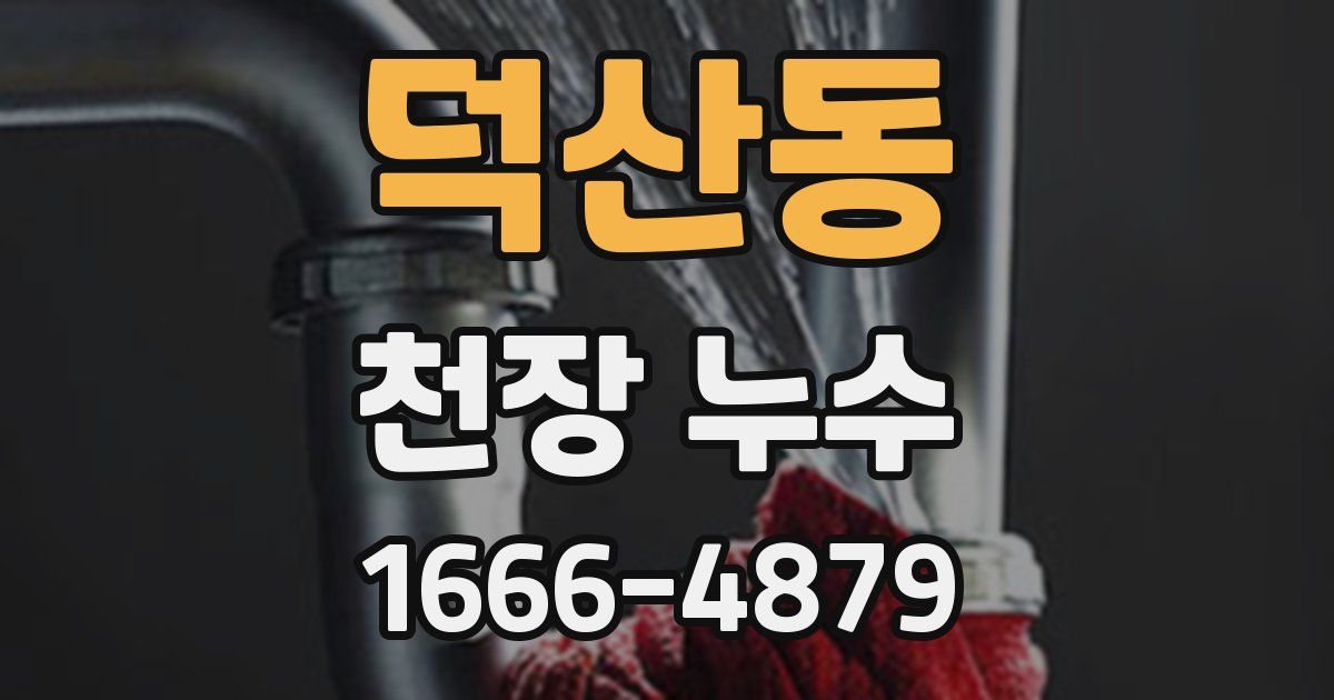 덕산동 천장 누수