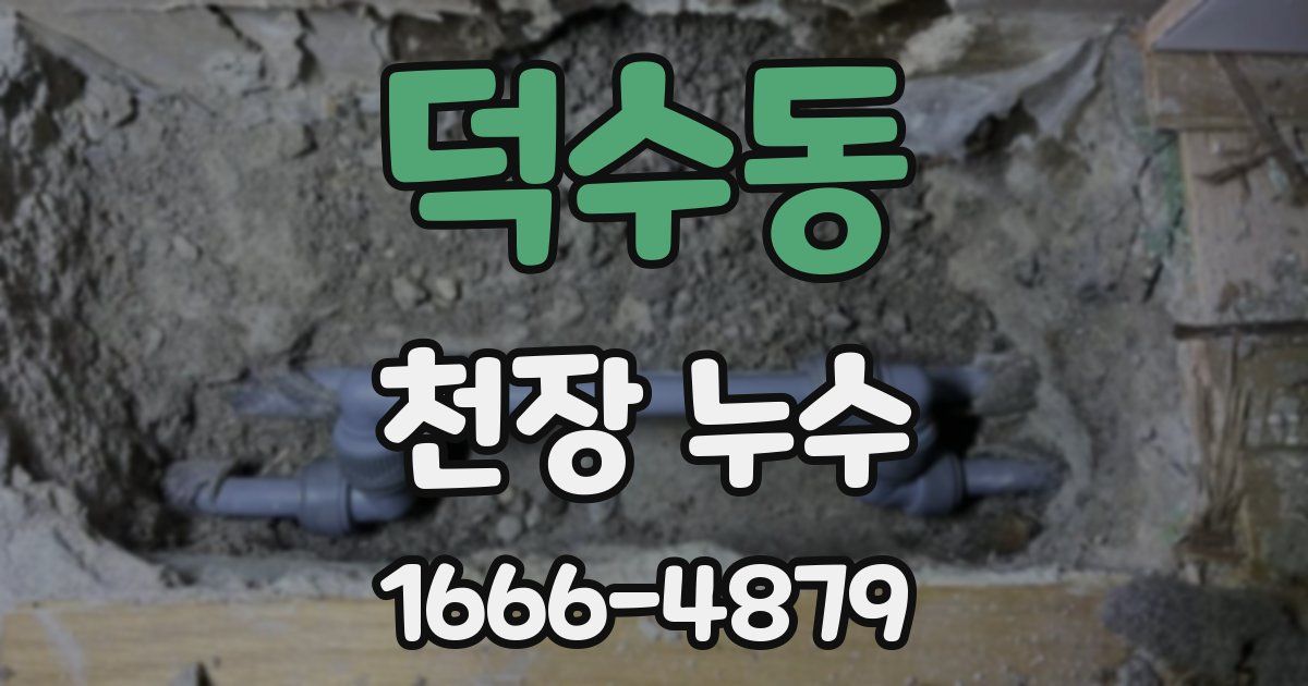 덕수동 천장 누수
