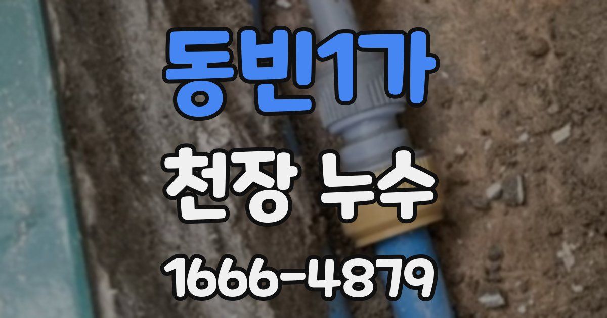 동빈1가 천장 누수