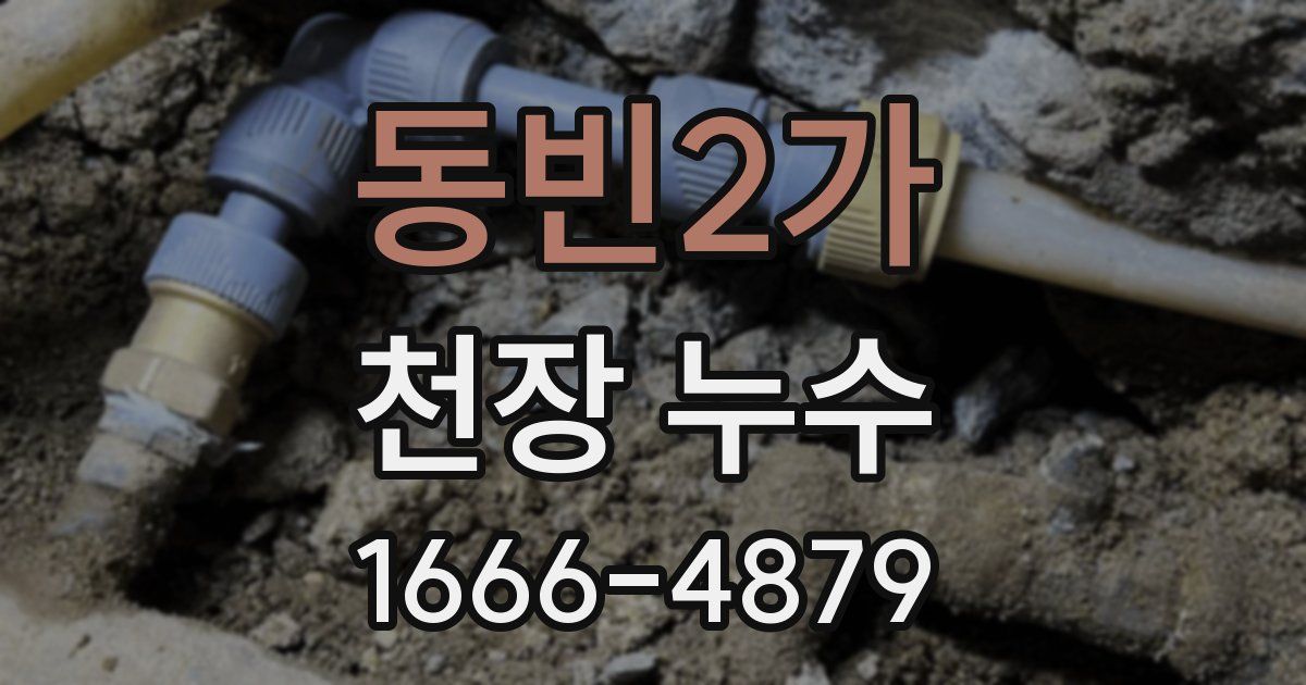 동빈2가 천장 누수