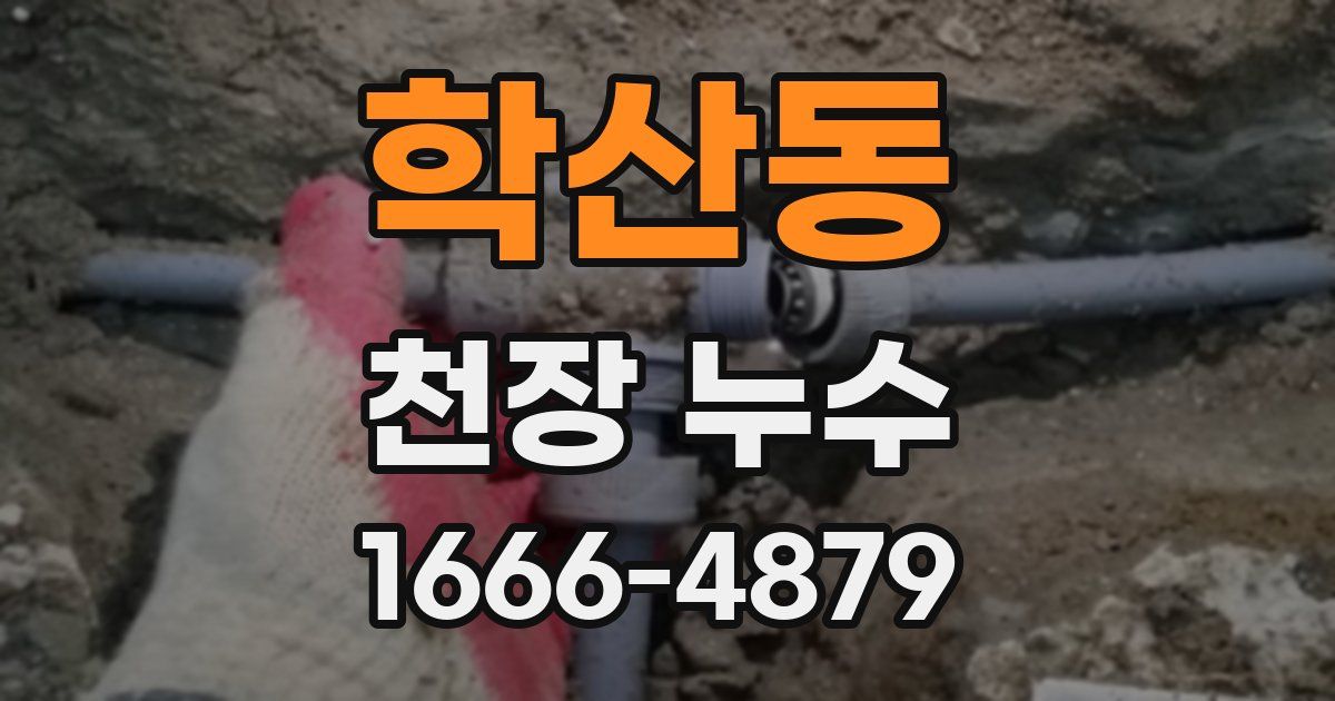 학산동 천장 누수