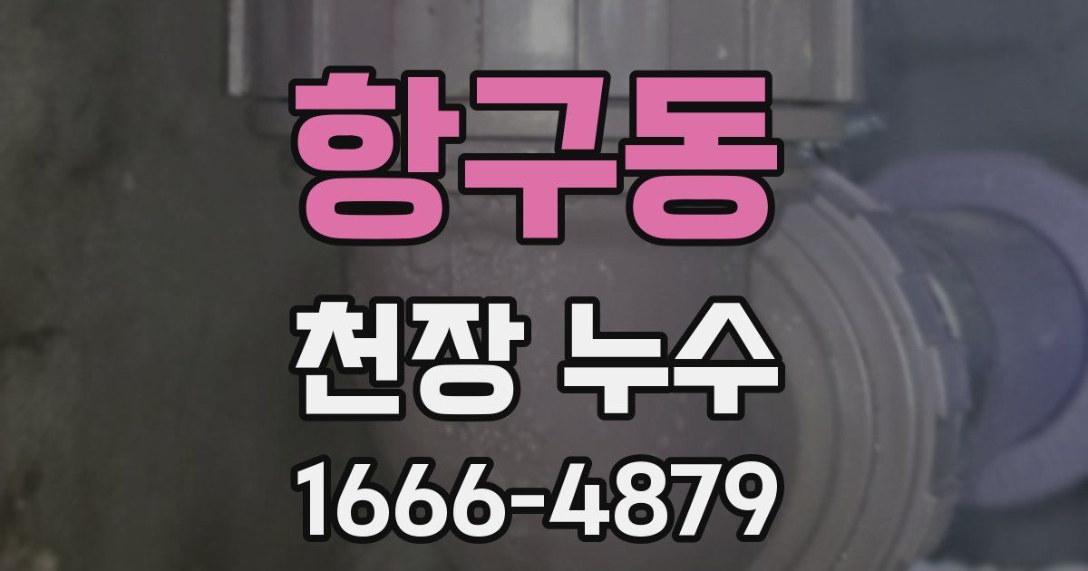 항구동 천장 누수