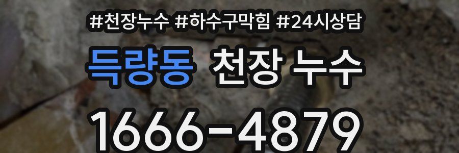 득량동 천장 누수