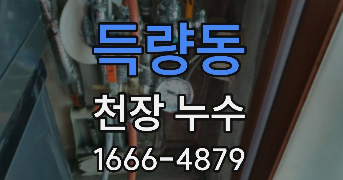 득량동 천장 누수