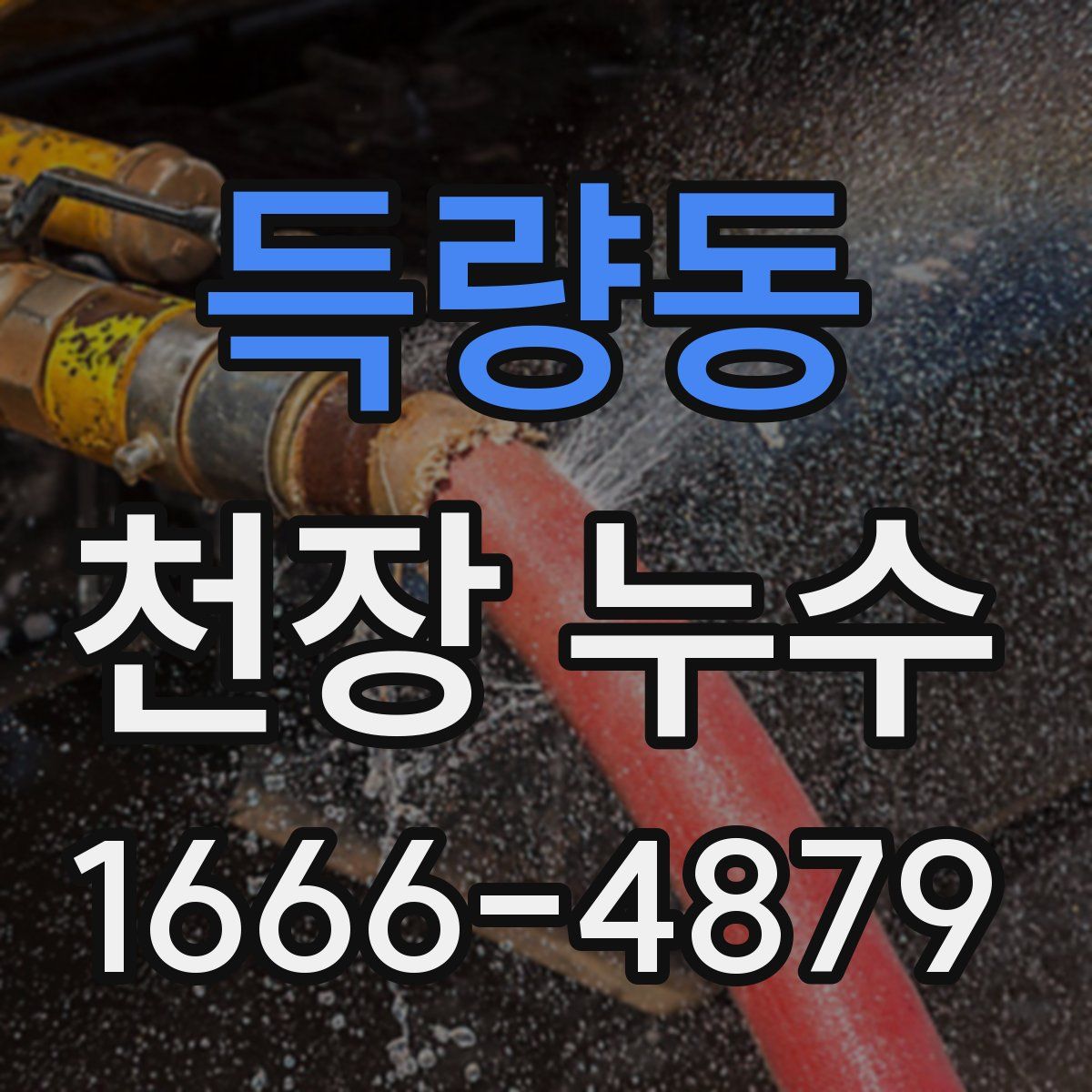 득량동 천장 누수