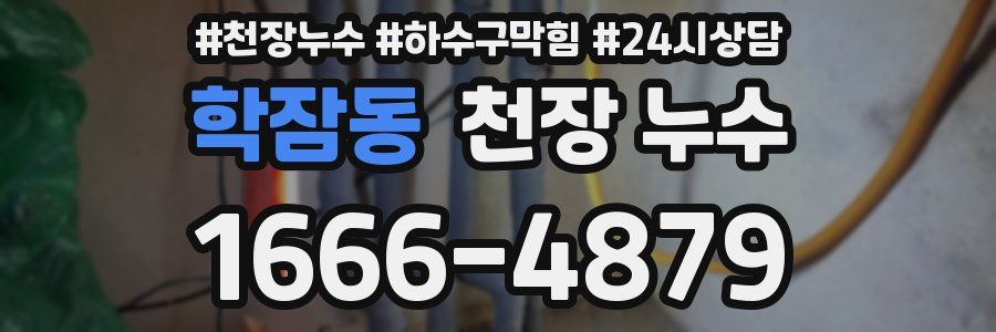 학잠동 천장 누수