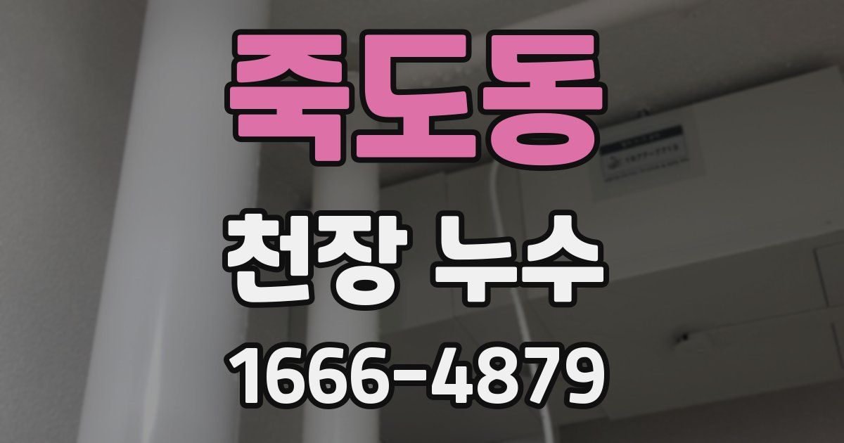 죽도동 천장 누수