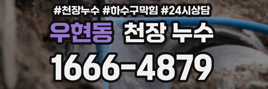 우현동 천장 누수