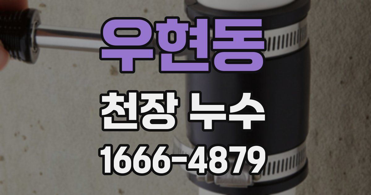 우현동 천장 누수