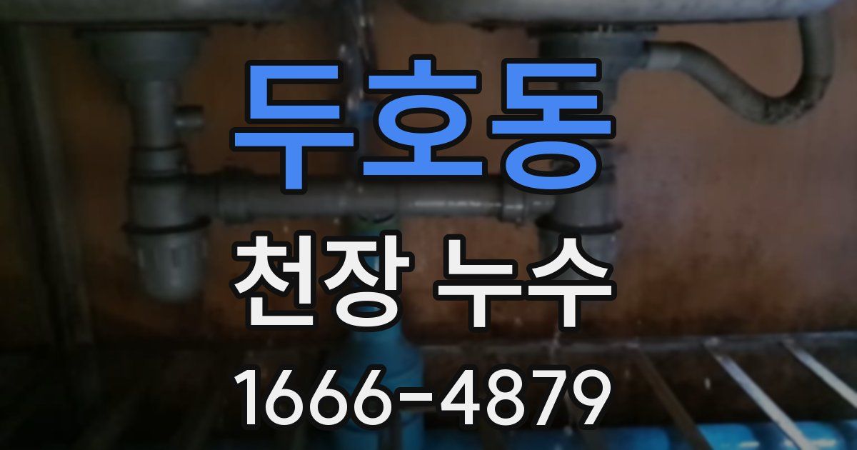 두호동 천장 누수