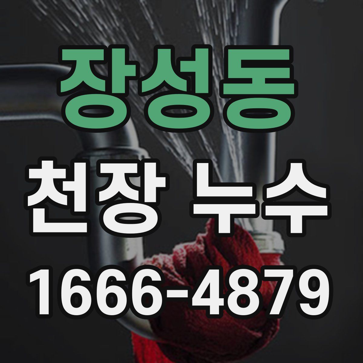 장성동 천장 누수