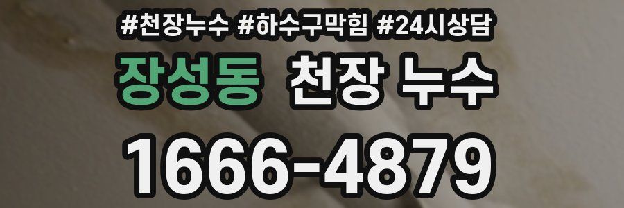 장성동 천장 누수